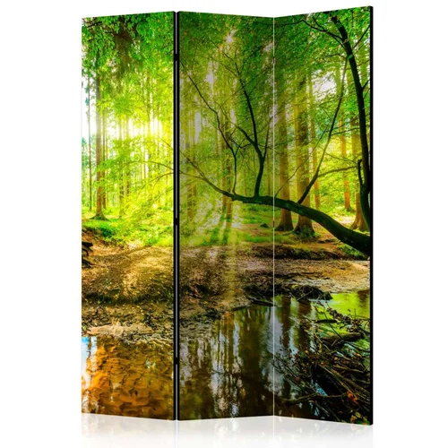  Paravan u 3 dijela - Forest Stream [Room Dividers] 135x172