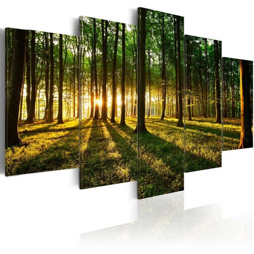  Slika - Adventure in the woods 200x100 Slike