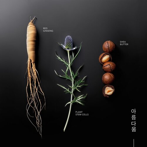 KORIKA Korean Heritage Ginseng &amp;amp; Marine Stem Cells Youth Elixir Cream hranilna antioksidacijska krema za pomladitev kože 50 ml Slike