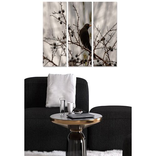 Wallity Set slika MDF3910967, 3 dijela Cene