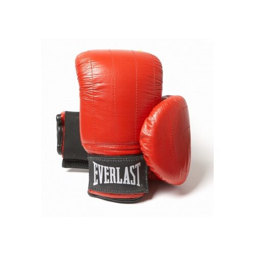 Everlast Rukavice za boks Boston Cene