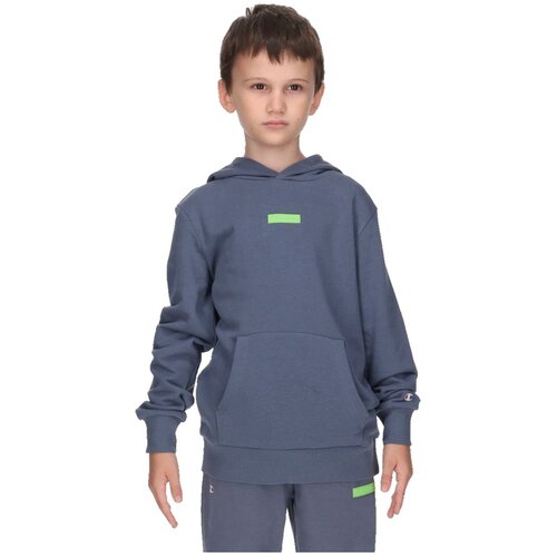 Champion Dukserica Basic Cene