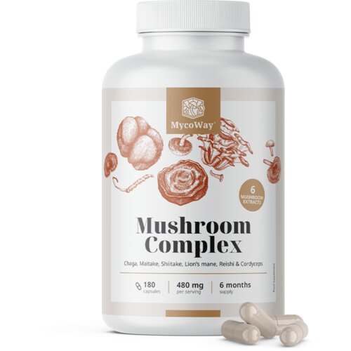  Mushroom Complex - 180 kaps. Slike