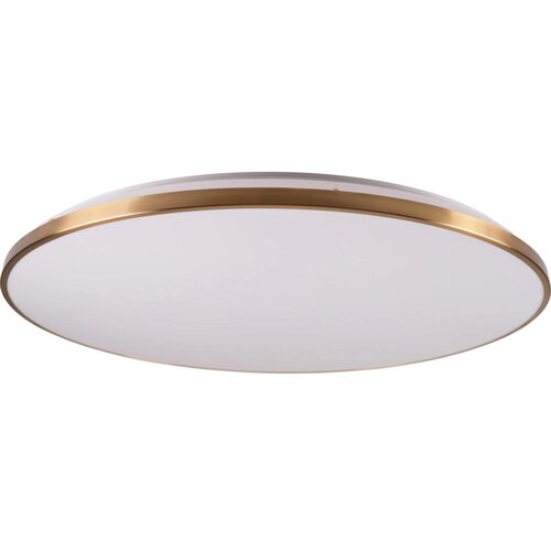  LED prigu&scaron;iva plafonska lampa KERN LED/100W/230V prečnik 100 cm zlatna + daljinski upravljač Cene