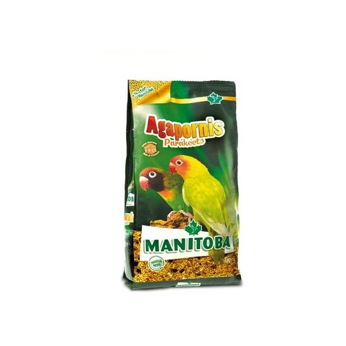 Manitoba agapornis parakeets 1kg 13911 Cene