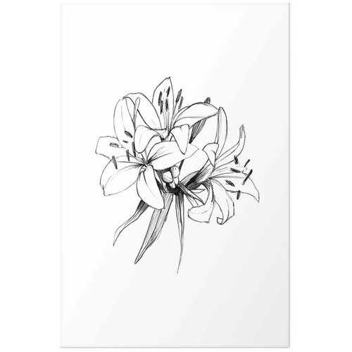  Plakat Drawn Flowers 21x30 Cijene