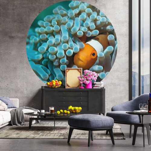 WallArt Okrogla tapeta Nemo the Anemonefish 142,5 cm Slike