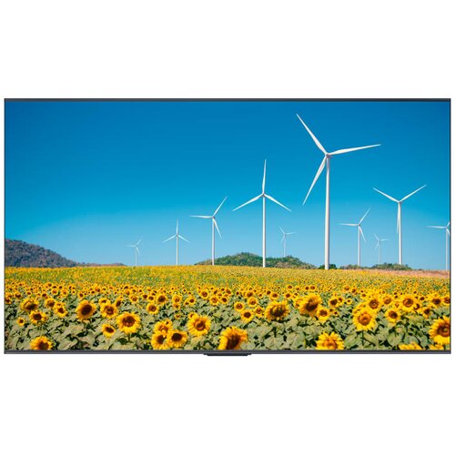 Hisense reklamni ekran 50DP30FE, 50", 4K UHD, 350 nita Cene