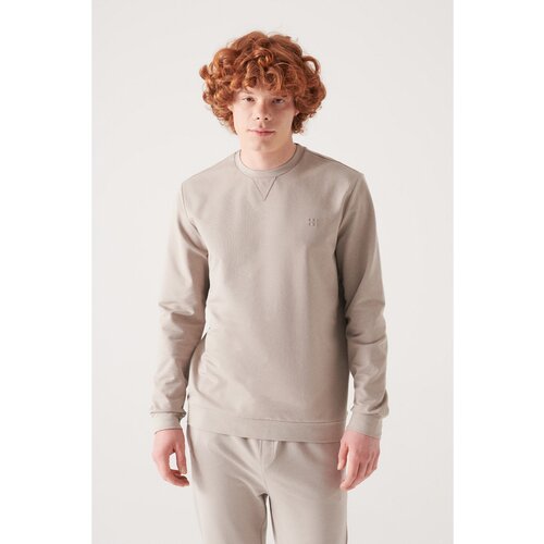 Avva Men's Gray Crew Neck Cotton 2 Threads Not Raised Flexible Comfort Fit Sweatshirt Slike