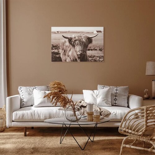  Slika - A Scottish Cow in Sepia 120x80 Premium Print Slike