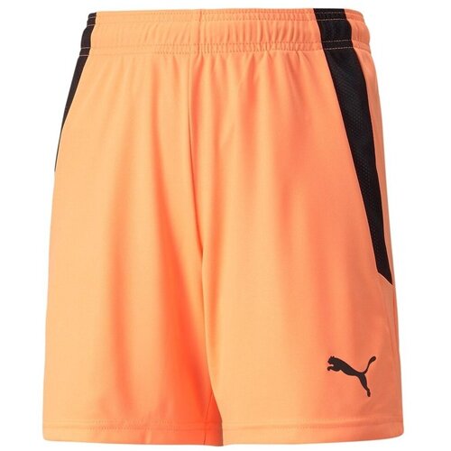 Puma Kratke hlače &amp;amp; Bermuda 70493121 pisana Slike