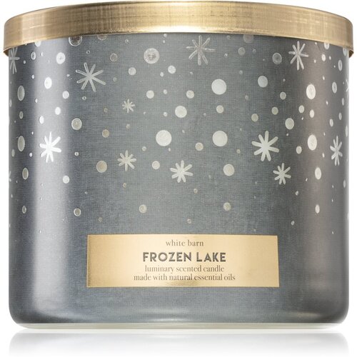 Bath &amp;amp; Body Works Frozen Lake mirisna svijeća 411 g Slike