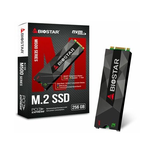 Biostar SSD M.2 256GB M500 Series NVME 1600/900MB/s, M500­256GB ssd hard disk Slike