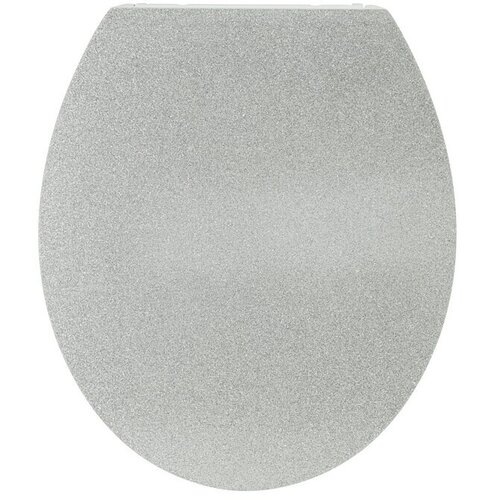 Poseidon WC daska (Samospuštajuća, Duroplast, Može se skinuti, Srebrna) Cijene