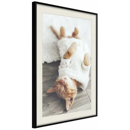  Poster - Kitten Life 30x45