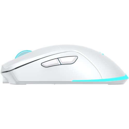 Baracuda Turtle BGM-122 bežični mi&amp;scaron; 3200 DPI, bijeli Slike