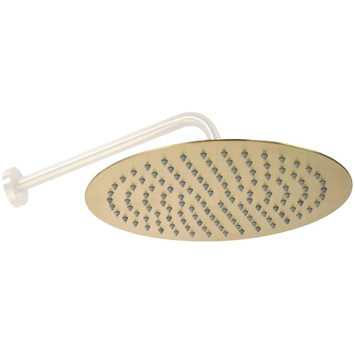 Rea Dežni tu&scaron; Gold Brush 25cm Cene