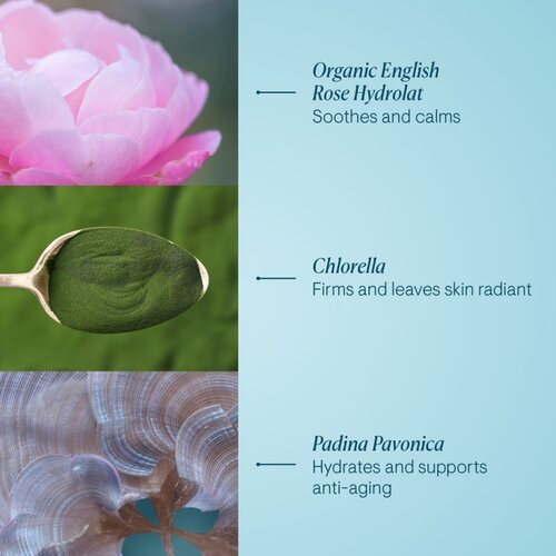 Elemis Pro-Collagen Rose Marine Cream vlažilna gel krema za učvrstitev obraza 30 ml Slike