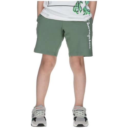 Champion hlače KH CHA261B200-62 CHA261B200-62 F zelena 128 Cene
