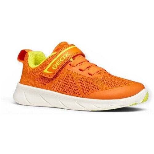 Geox Modne superge Foot-Run pisana Cene