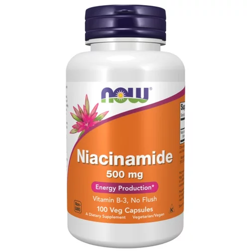 Now Foods Niacinamid (B3) NOW, 500 mg (100 kapsul)