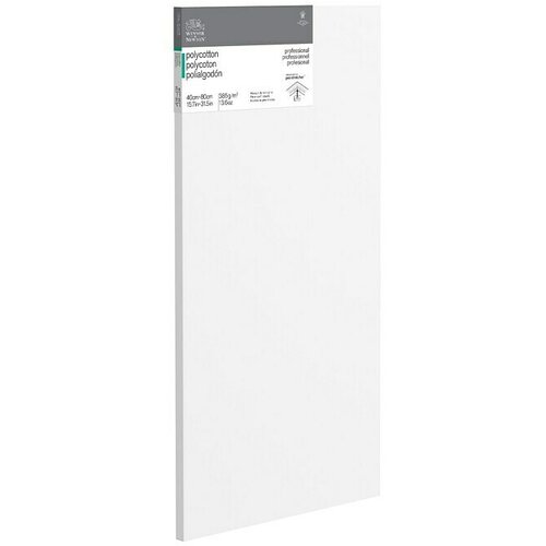 WINSOR & NEWTON Slikarsko platno z okvirjem profesionalni (40 x 80 x 2,1 cm, Tkanina iz bombažne me&scaron;anice, 3-krat grundirano, Gramatura: 385 g/m&sup2;, Srednje fina) Cene
