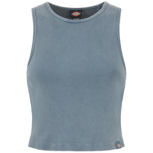 Dickies Top 'PLENTYWOOD' dimno modra Cene