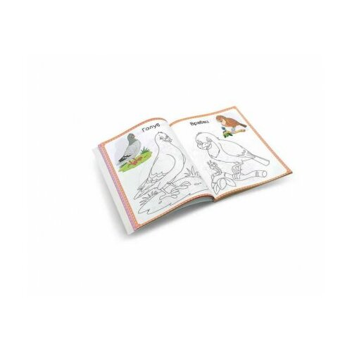  101 crtež za bojenje i reč za učenje ( DEXY4393 ) Cene