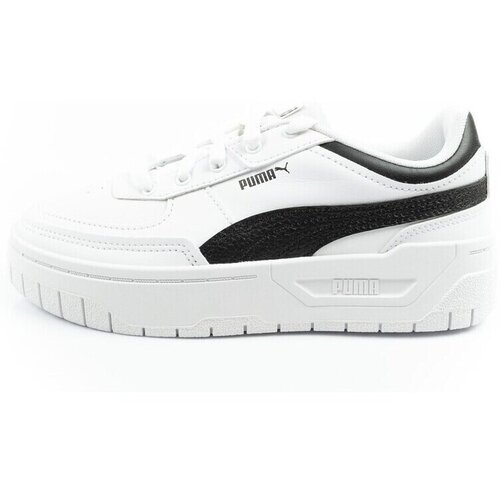 Puma Nizke superge 39273004 pisana Cene