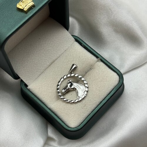  Srebreni privjesak Cijene