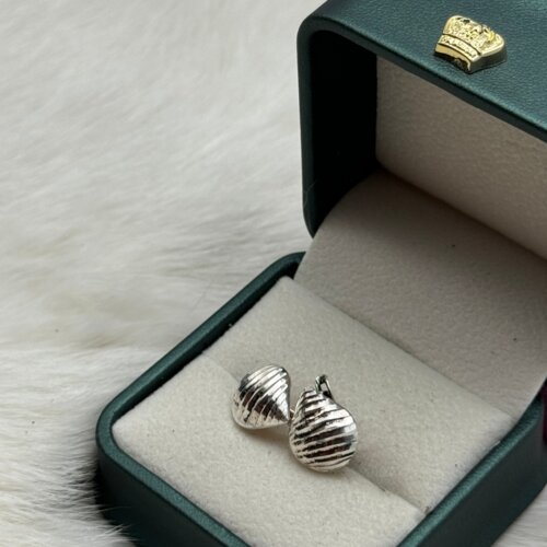  Srebrene naušnice Cijene