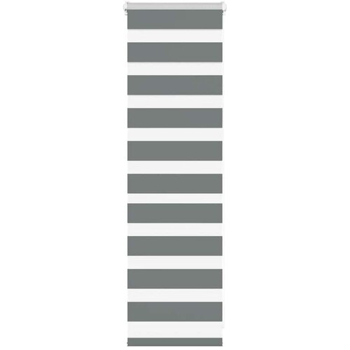 VidaXL Zebra Blind Dark Grey 40x100 cm &amp;Scaron;irina tkanine 35,9cm Poliester Slike
