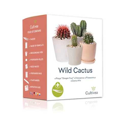 Mini set "Wild Cactus"
