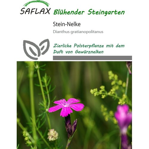 Saflax Binko&scaron;tni nagelj - 75 zrn. Cene