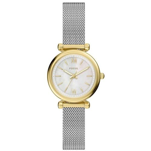 Fossil satovi  Slike