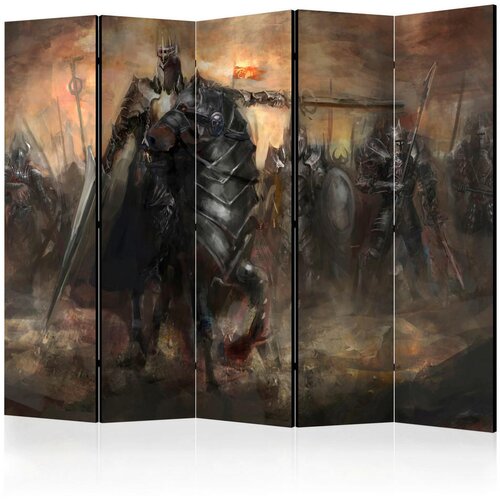 Artgeist PARAVAN 225/172/3 cm siva, sivobela Cene