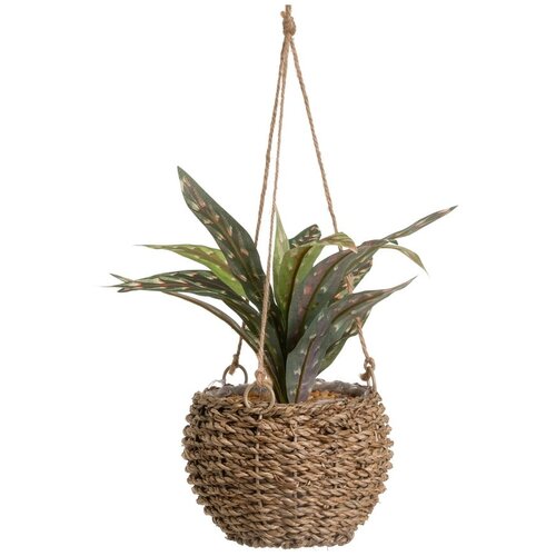 Casa Selección Umetna rastlina (višina 25 cm) – Cene