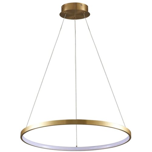  LED luster na sajli LEA LED/20W/230V 4000K prečnik 50 cm zlatna Cene