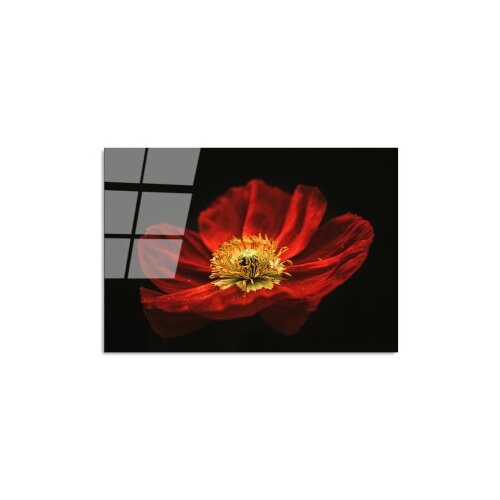 Wallxpert dekorativna slika od kaljenog stakla cvetan cvet crvenog maka (uv 204) 70 x 100cm Slike