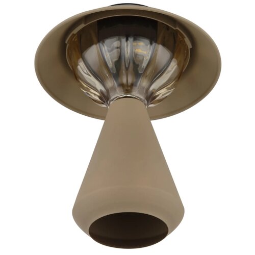 Globo 36639S - LED solarna lampa 10xLED/0,06W/1,2V IP44 braon Slike