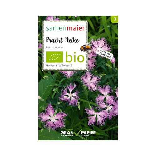 Samen Maier Ekološki divji cvet nageljček "Dianthis superbus" Cene