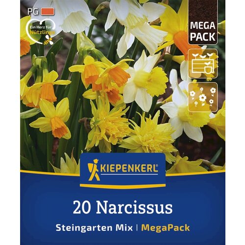 KIEPENKERL Mega pakiranje narcis &amp;quot;Steingarten Mix&amp;quot; - 20 k. Slike