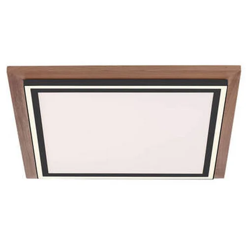 Lesnina-XXXL stropna led-svetilka palma 53,4/53,4/6,2 cm Lesnina-XXXL stropna led-svetilka palma 53,4/53,4/6,2 cm