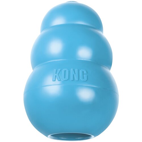 Kong Puppy - L, modra Cene