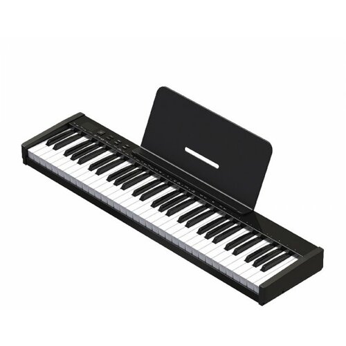 Moye smart električni klavir, 61 tipka (PH61S) Cene