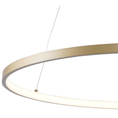 Zuma line 2023201-GD80 - led luster na sajli breno LED/36W/230V 3000/4000/6000K Slike