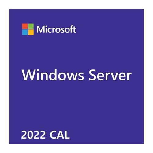 Windows Server CAL 2022 English 1pk DSP OEI 1 Clt User CAL, R1806448