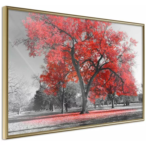  Poster - Red Tree 60x40