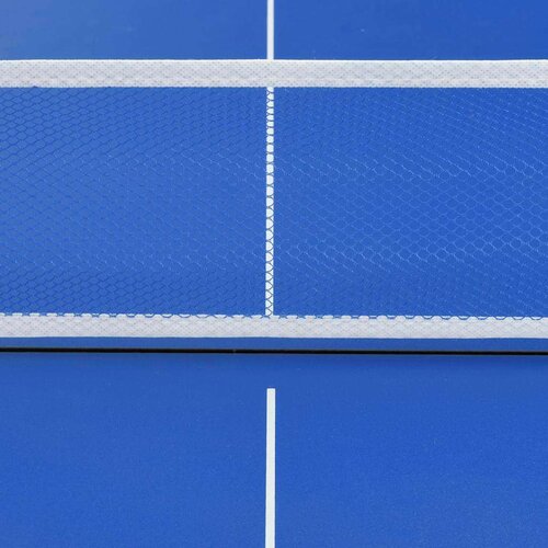 VidaXL stol za stolni tenis s mrežom 152 x 76 x 66 cm plavi Slike