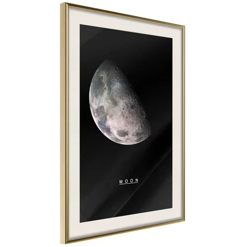  Poster - The Solar System: Moon 30x45